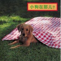WHERE'S THE PUPPY? board book in Chinese (simp) Only